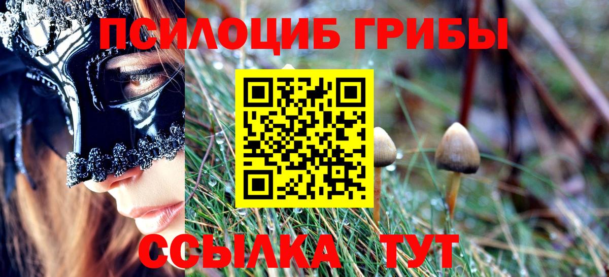 Псилоцибиновые грибы Psilocybine cubensis  Вход с VPN  Дзержинский  что такое наркотик  Псилоцибиновые грибы Psilocybe 