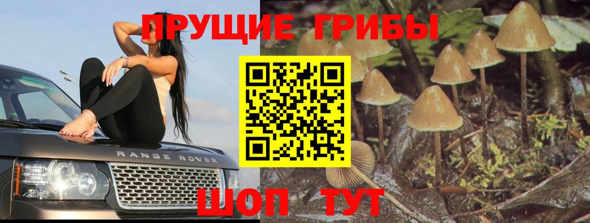 Галлюциногенные грибы Magic Shrooms Дзержинский